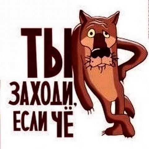 Сергей Курилкин