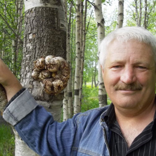 Николай Куликаев