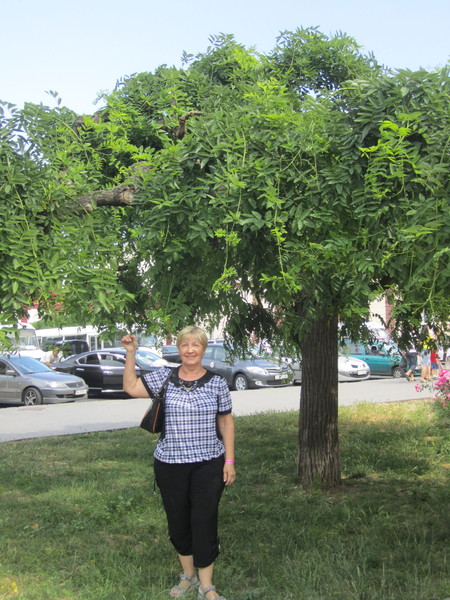 Старкова Людмила