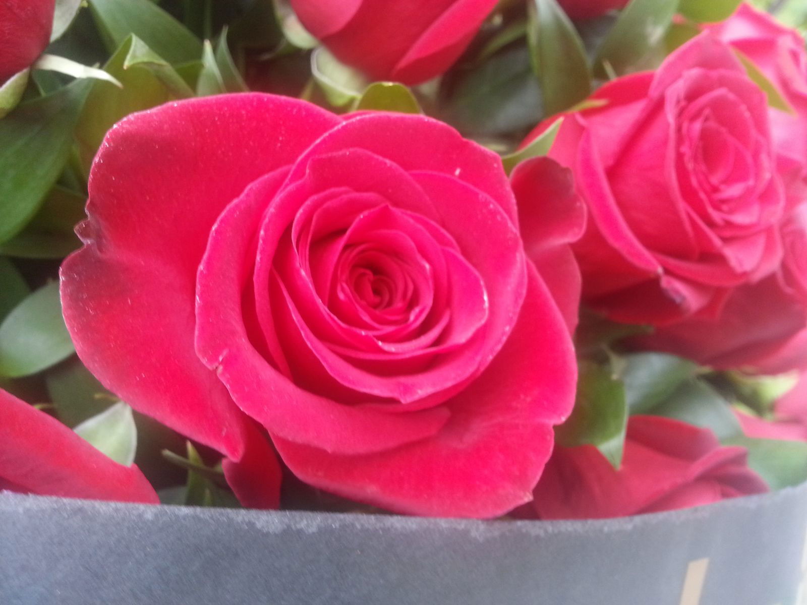 ***nermin*** ***huseynova***