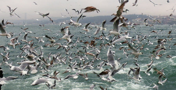 Ооо Арм-Авто Плюс