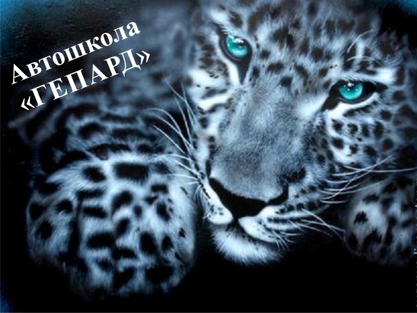 Автошкола Гепард