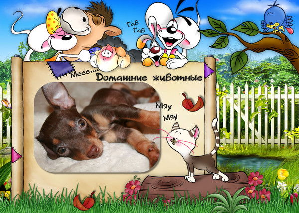 Виталий Кривоногов