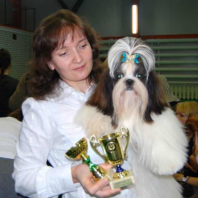 Юлия Штыкова