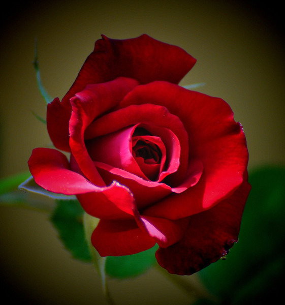 Наталья Нестерова