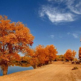 Валентина Мищенко