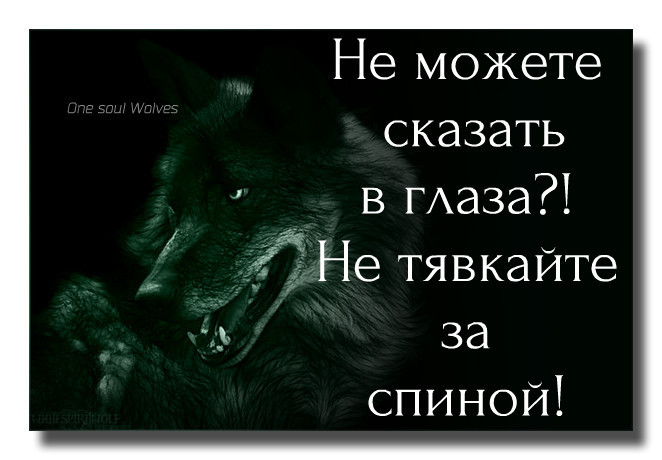 Александр Щёлоков