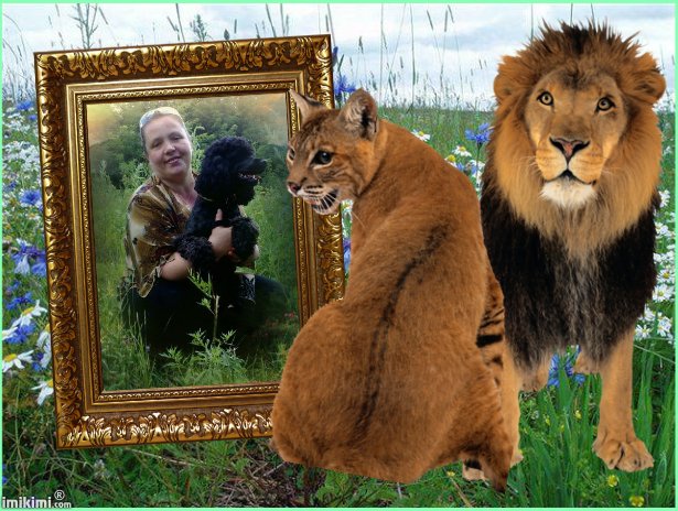 Lena@@@ Tisha*******.