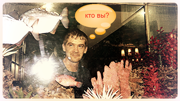 Андрей Волков