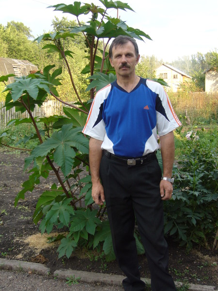 Владимир Муравьёв