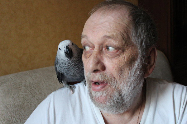 Владислав Кузнецов