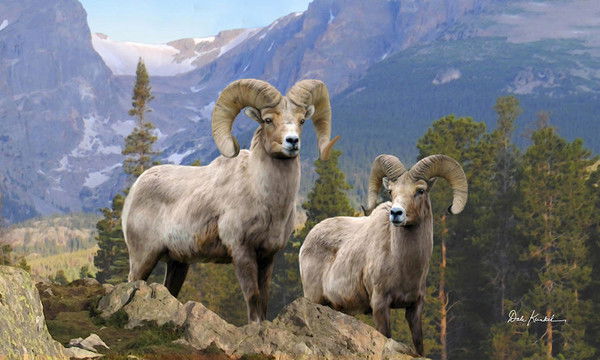 Тилекбубу Султаналиева