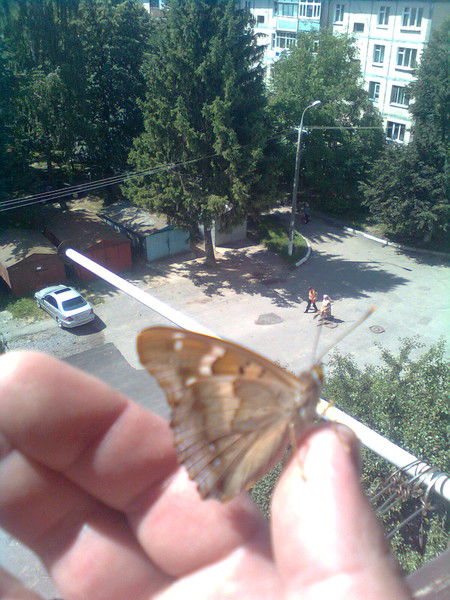 Вася Кораблев