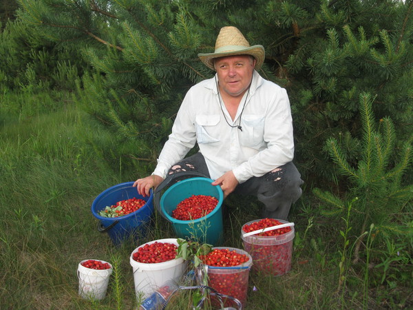 Александр Филианов