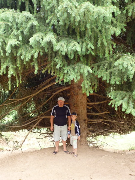 Андрей Мирошников