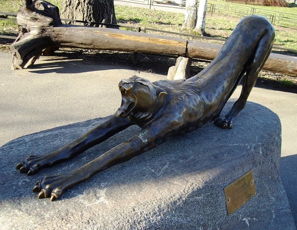 Цап-Царапка Вредина.ру