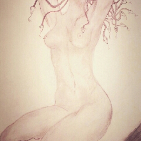 _Salamandra _