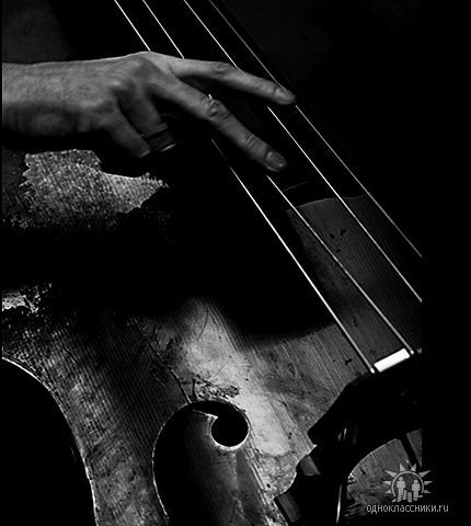 Jazzer ...
