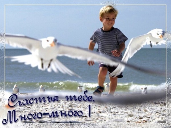 Эльдар Мамедов