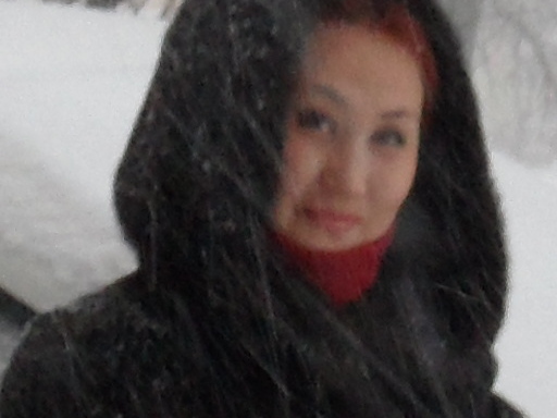 Снежана Андреева