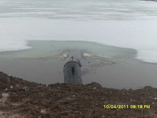 Камиль Фардиев