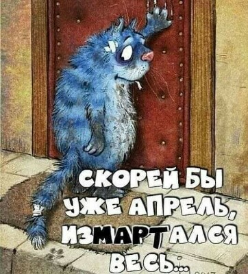 🖼