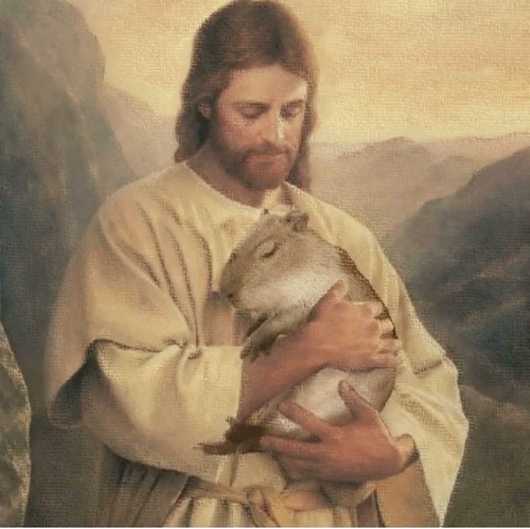 🖼