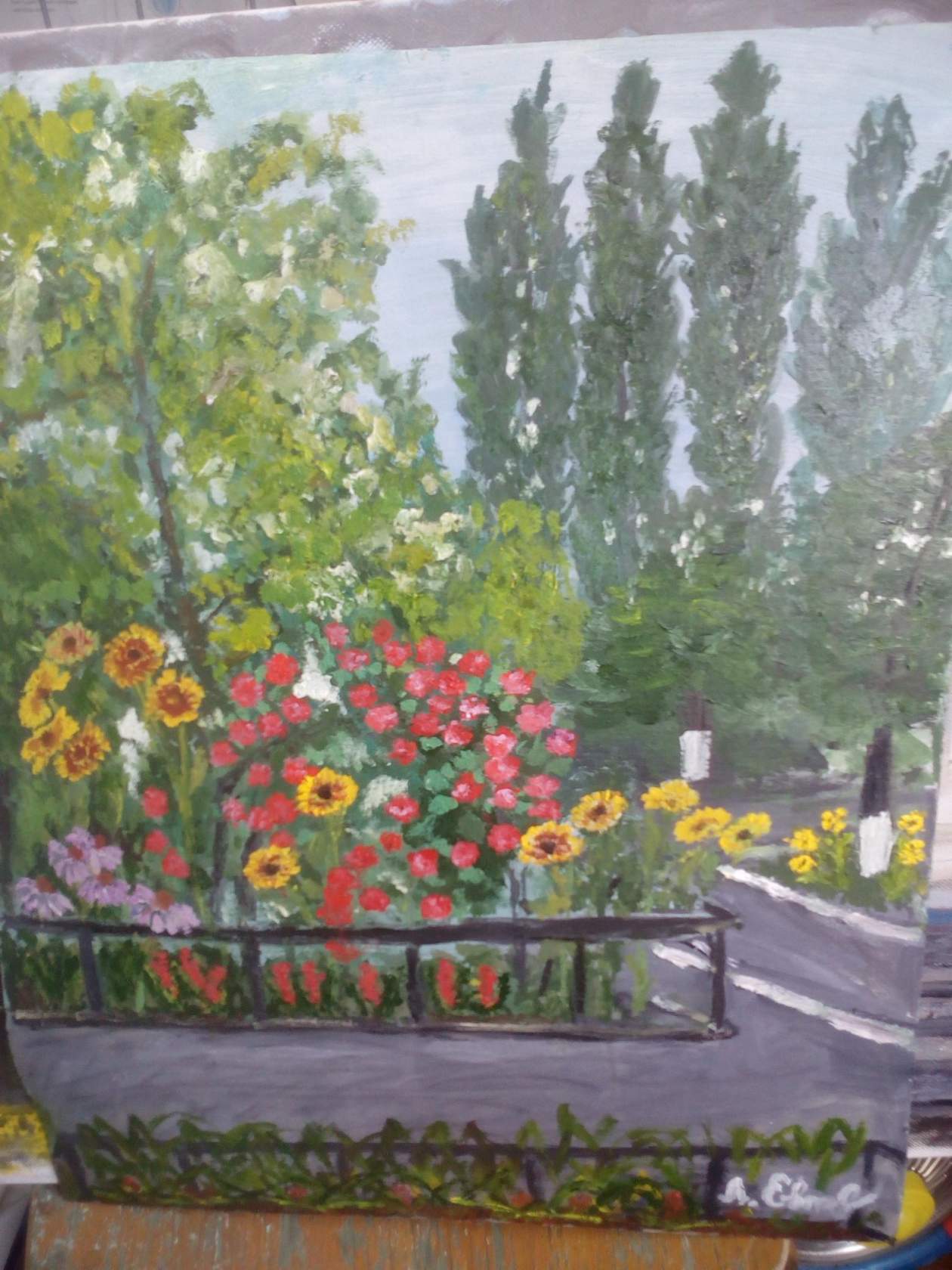 🖼