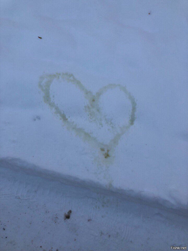 🖼