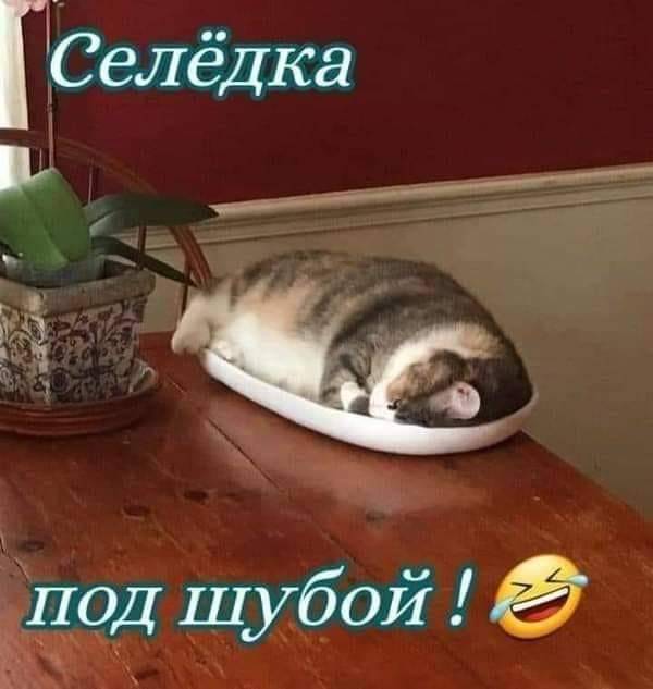 🖼