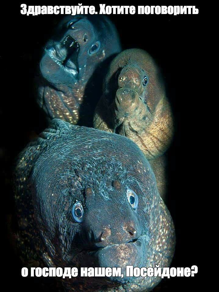 🖼