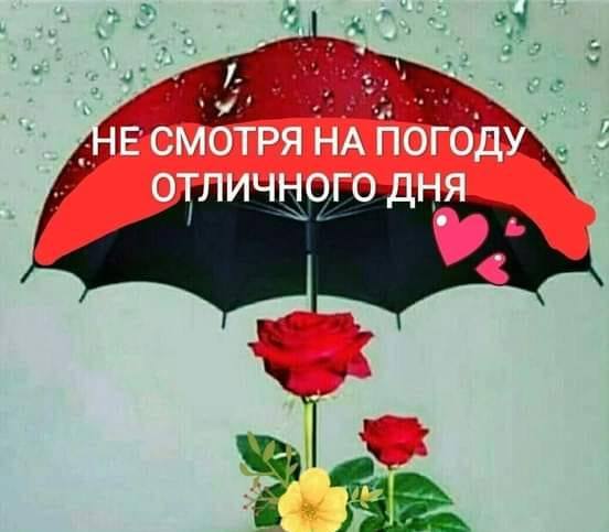 🖼