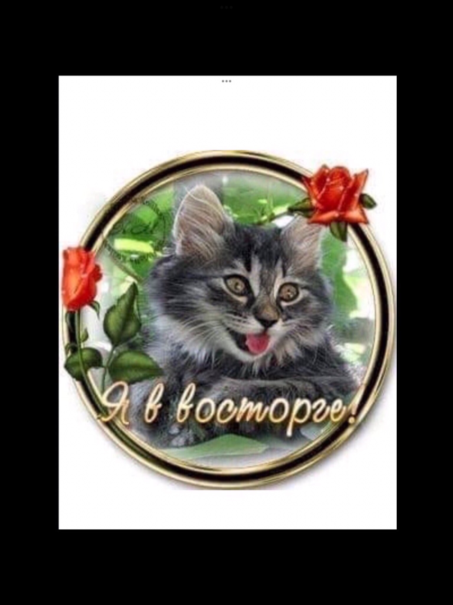 🖼