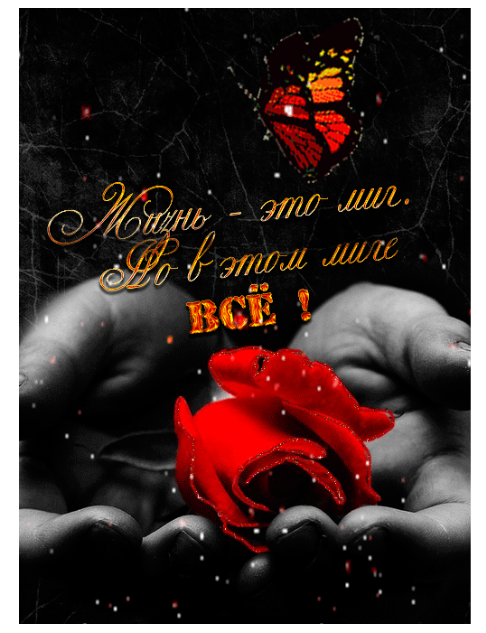 🖼