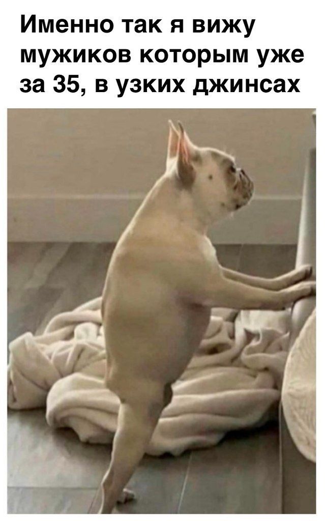 🖼