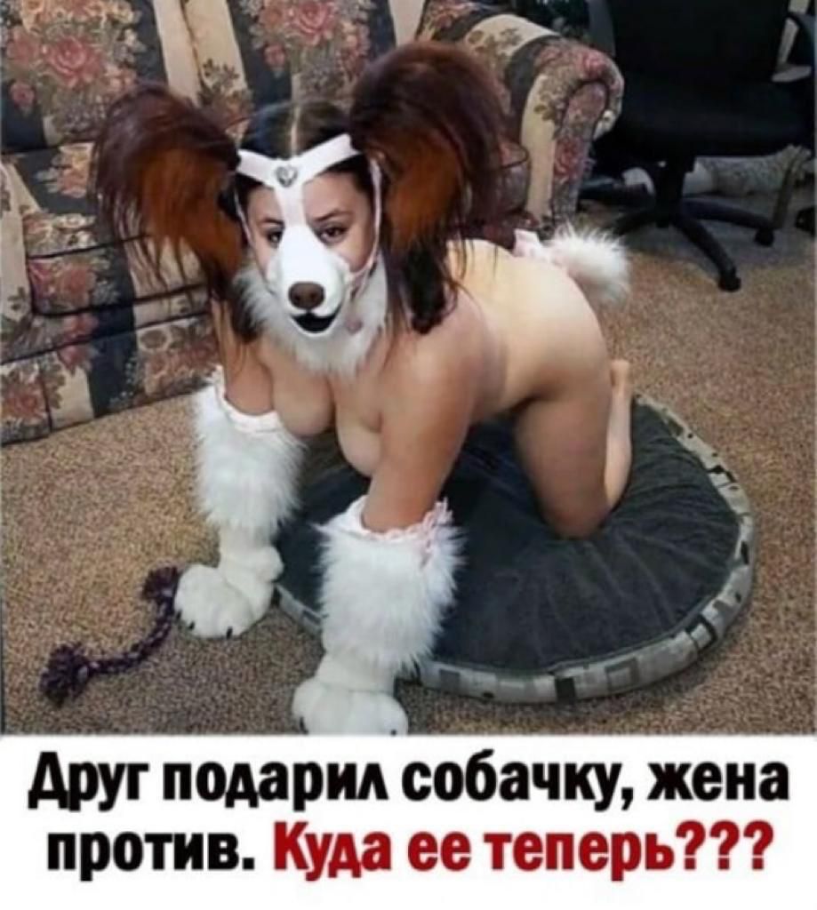 🖼