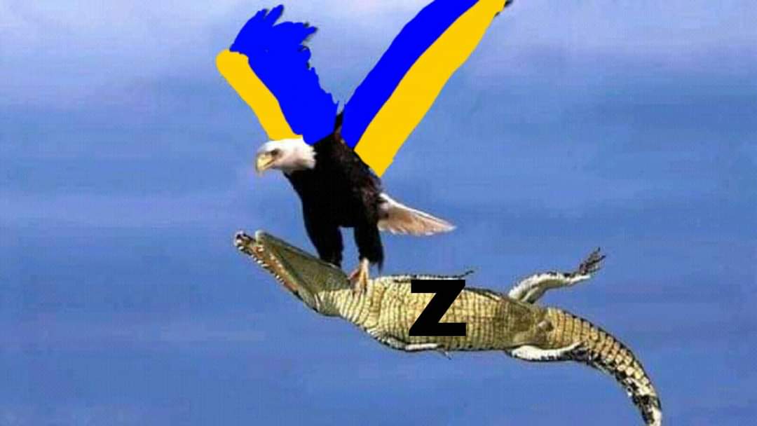 🖼