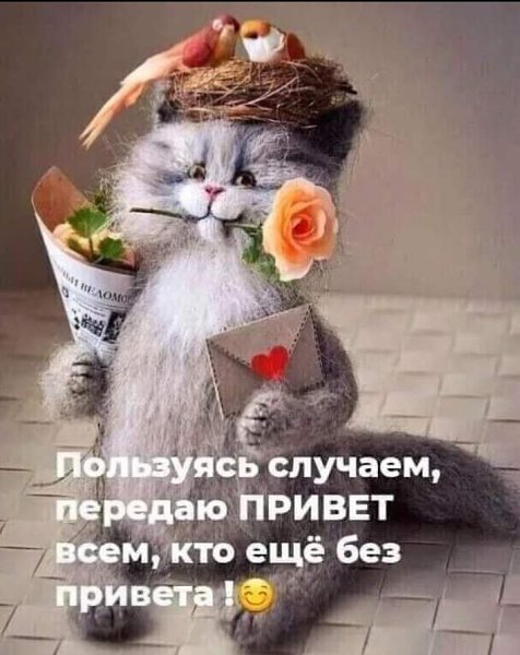 🖼