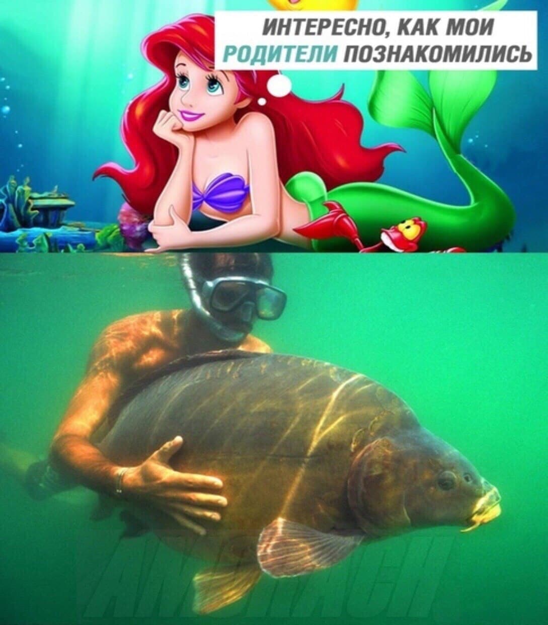 🖼