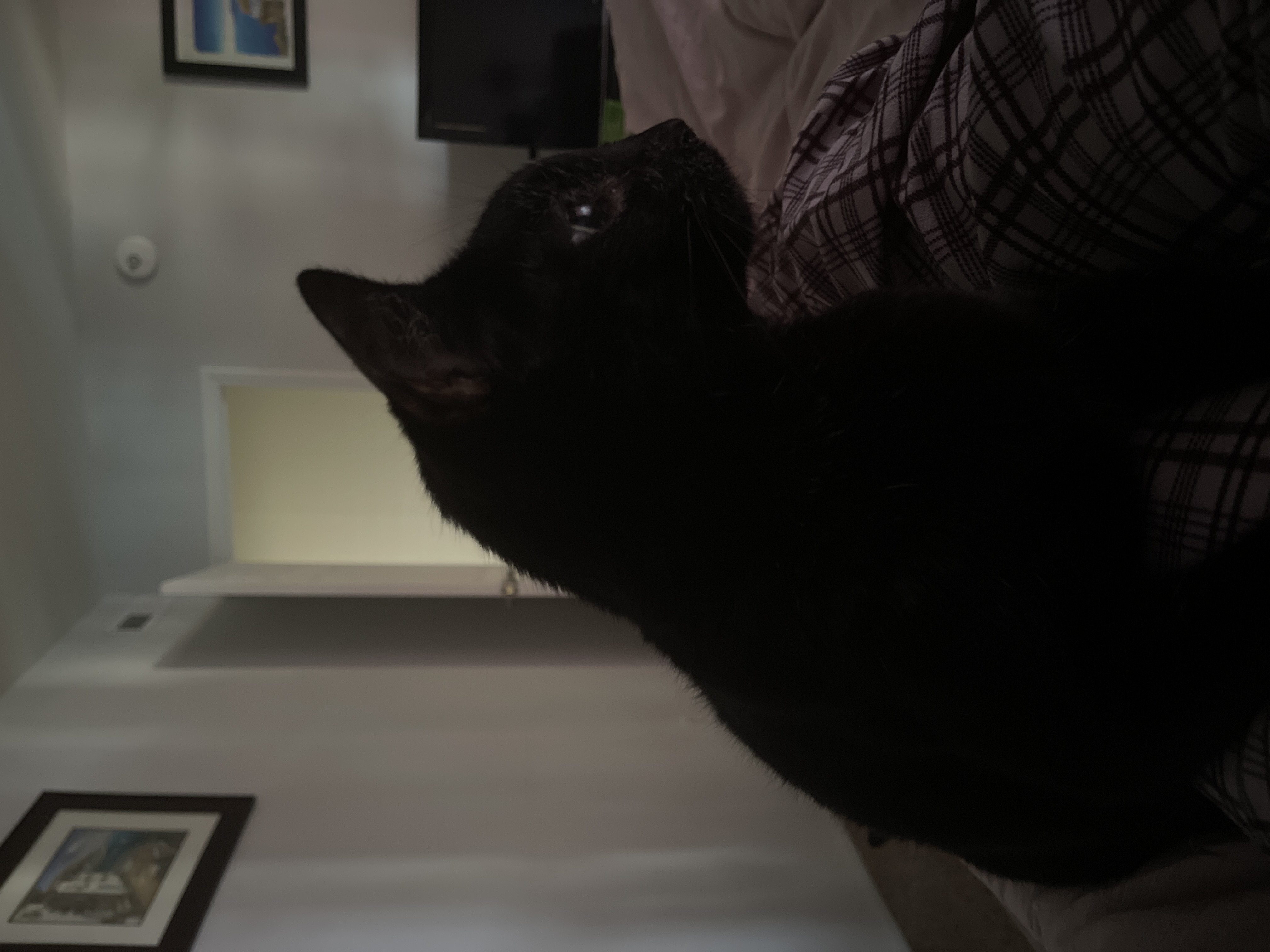 🖼