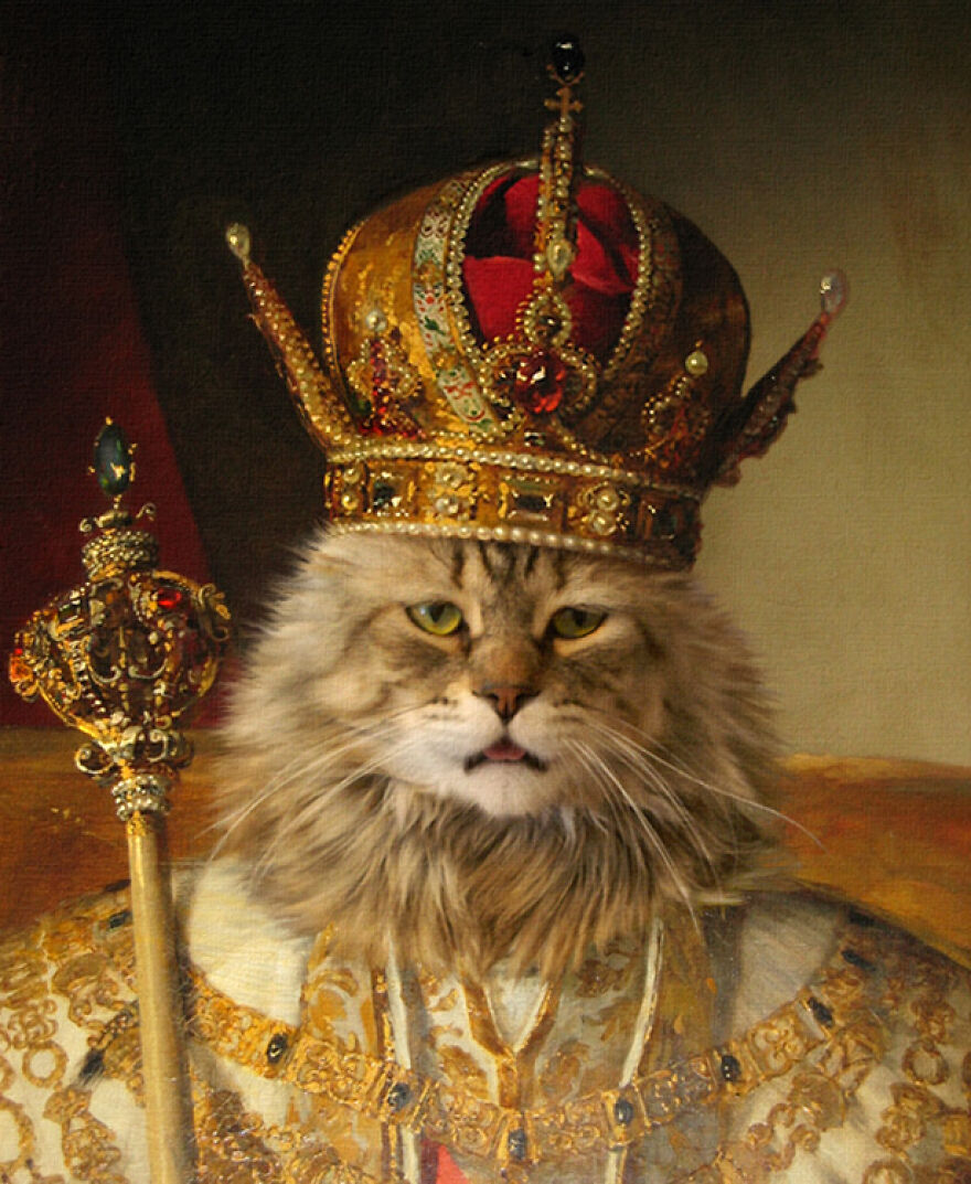 🖼