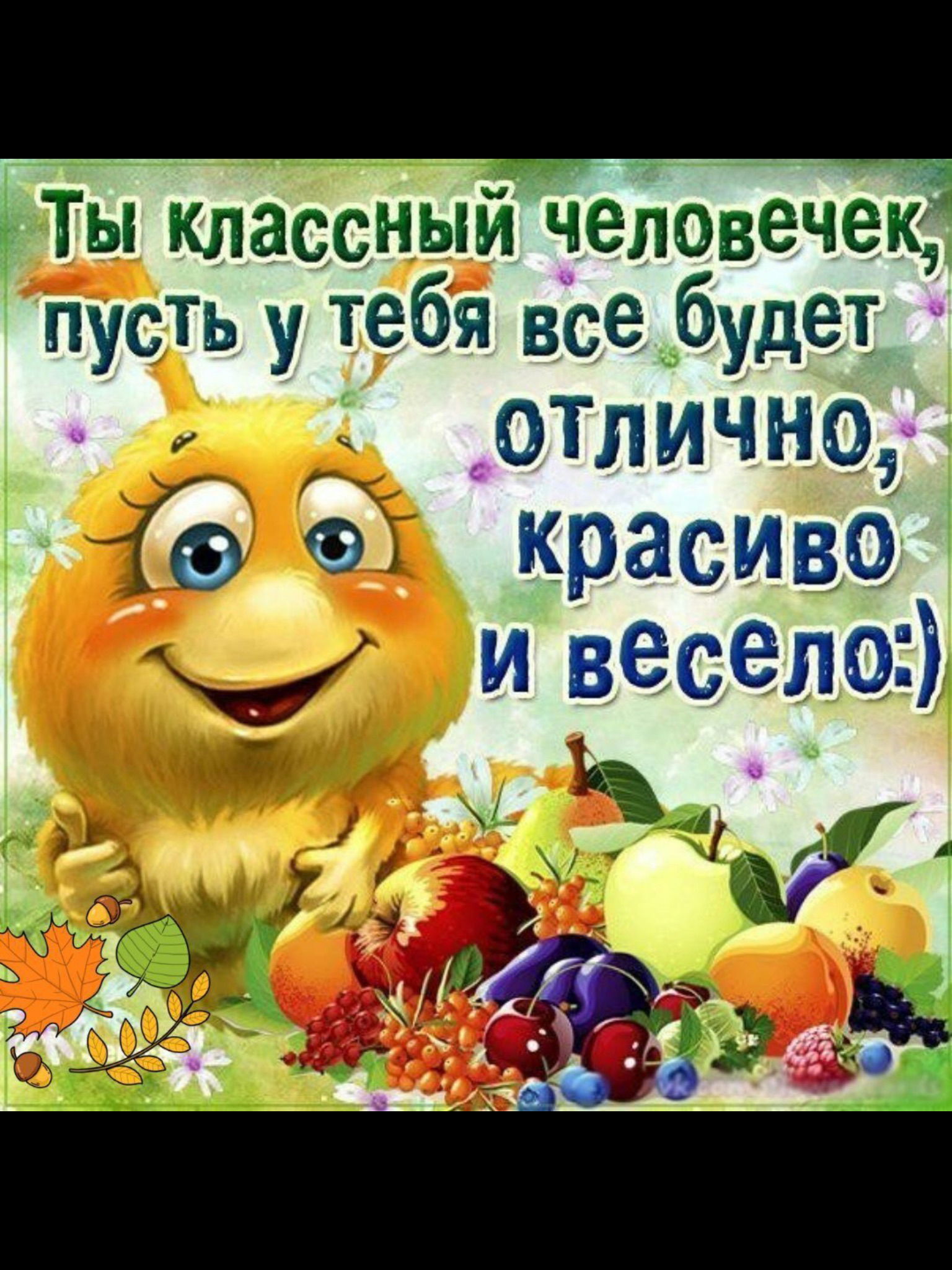 Новая неделя картинки для поднятия настроения