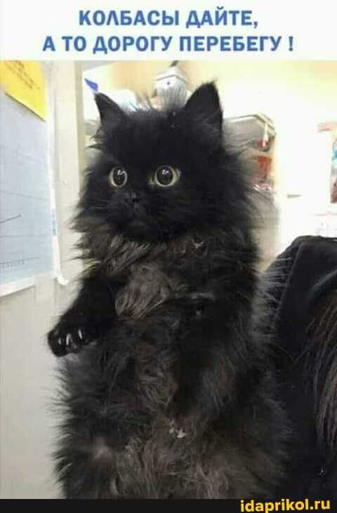 🖼