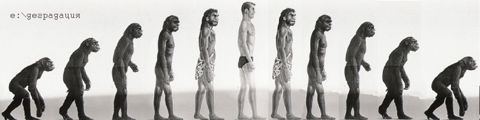 Процесс превращения человека в обезьяну. Эволюция человека хомо сапиенс. Хомо сапиенс обезьяна. Эволюция Дарвин хомо. Цепочка Дарвина эволюционная.