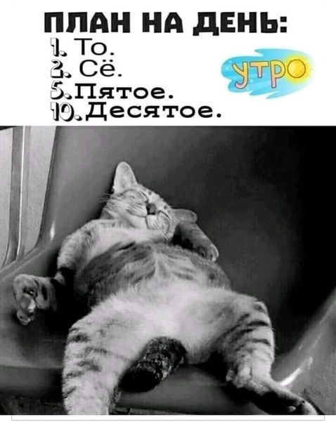 🖼