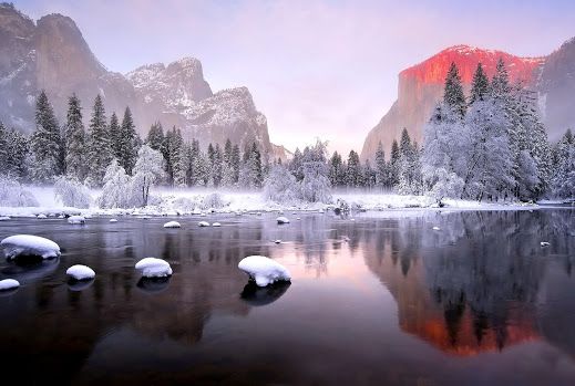 🖼