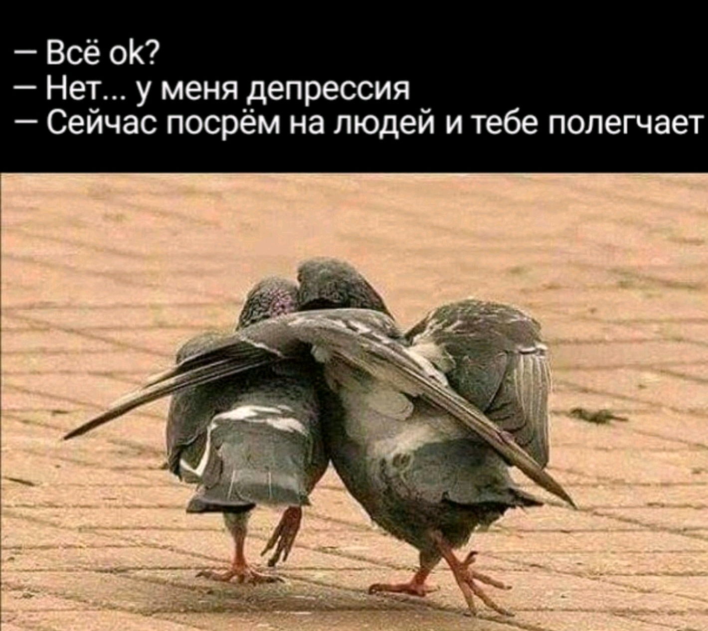 Депрессия Веселые Картинки