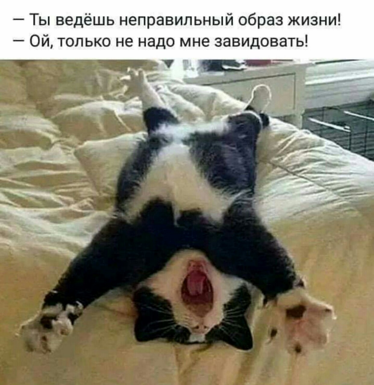 🖼