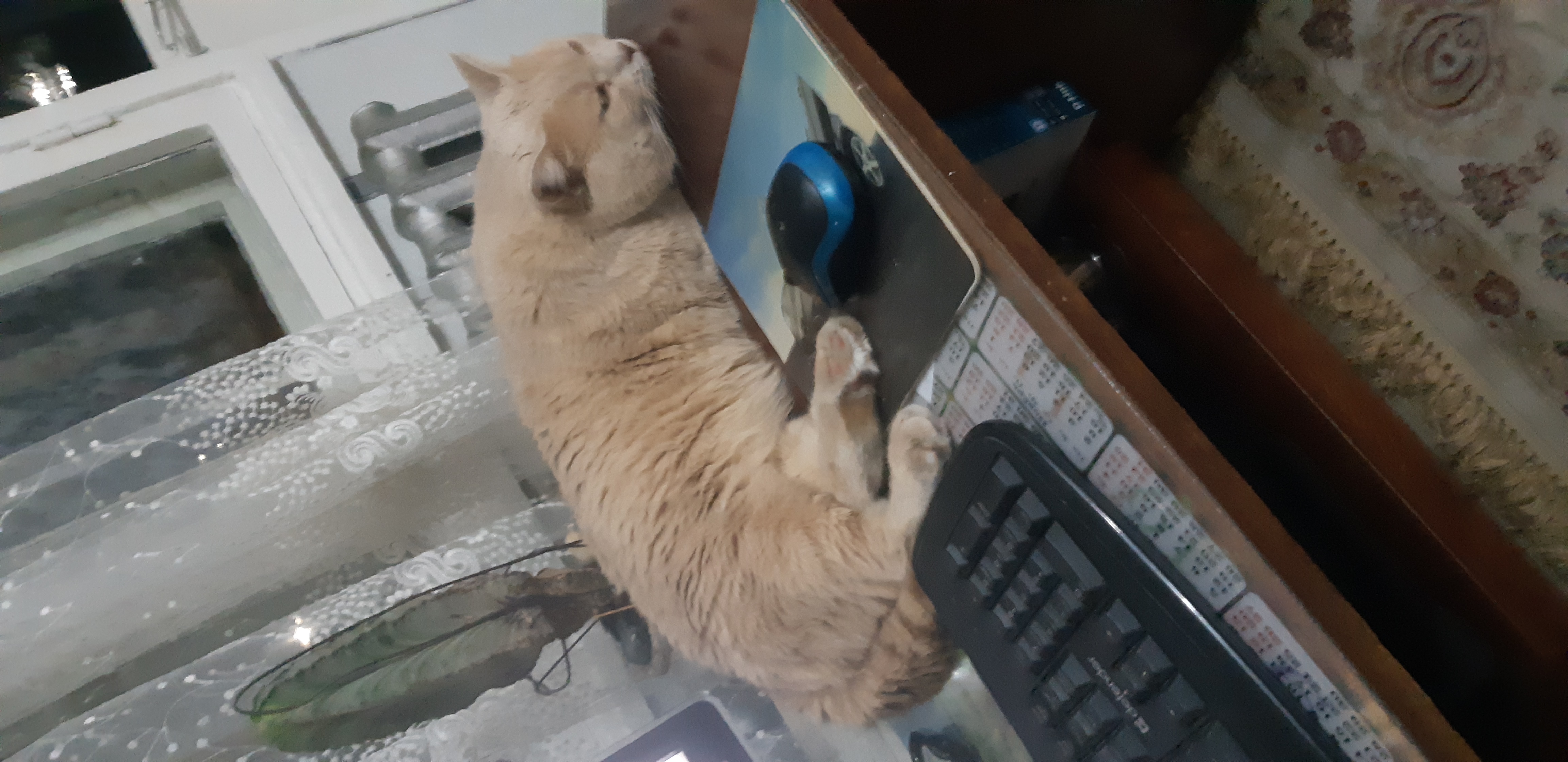 🖼