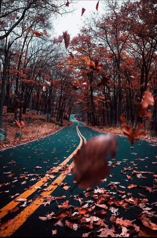 🖼